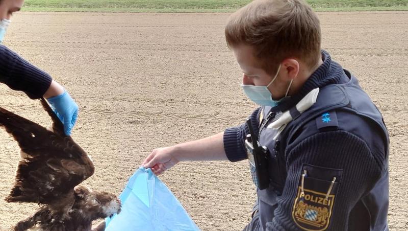 Das Bild zeigt Polizisten im Landkreis Straubing-Bogen bei der Bergung eines mutmaßlich vergifteten Mäusebussards.