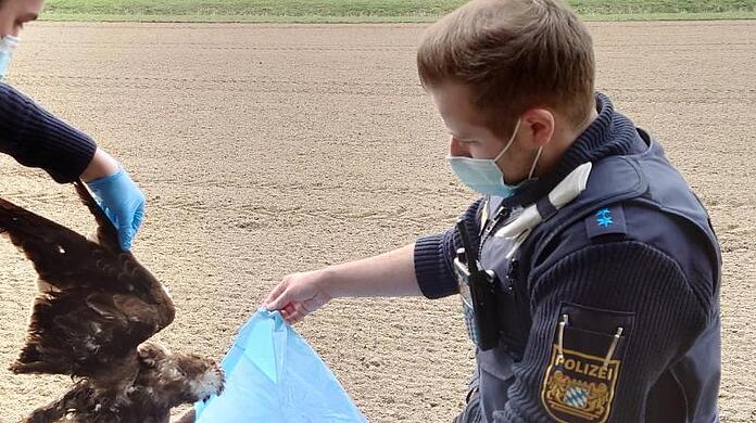 Das Bild zeigt Polizisten im Landkreis Straubing-Bogen bei der Bergung eines mutmaßlich vergifteten Mäusebussards.