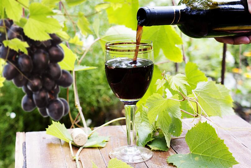 Am Wochenende kann man bei der "Forum Vini" Wein aus aller Welt testen.
