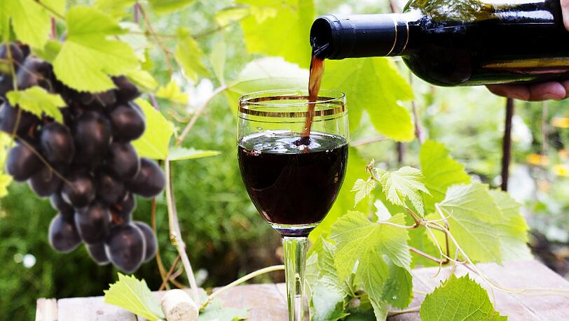 Am Wochenende kann man bei der "Forum Vini" Wein aus aller Welt testen. Am Wochenende kann man bei der "Forum Vini" Wein aus aller Welt testen.
