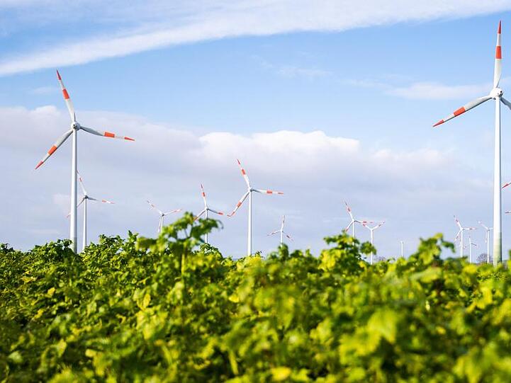 Viel Wind und Sonnenschein haben den Ökostrom auf ein Rekordhoch getrieben.