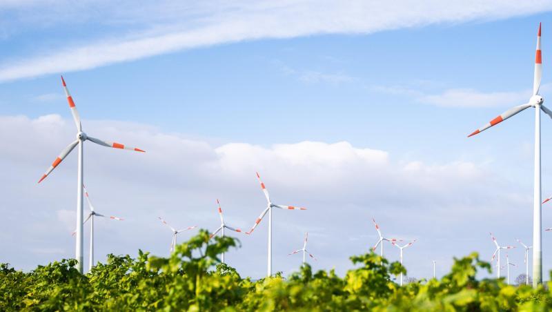 Viel Wind und Sonnenschein haben den Ökostrom auf ein Rekordhoch getrieben. Viel Wind und Sonnenschein haben den Ökostrom auf ein Rekordhoch getrieben.