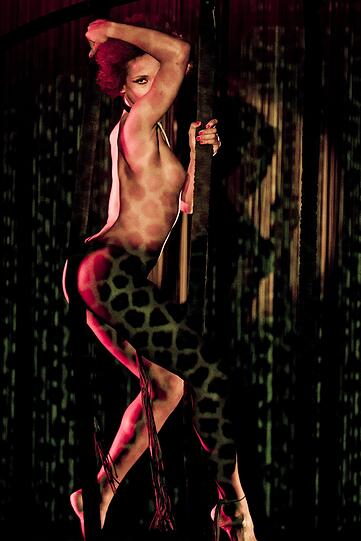 "Crazy Horse Cabaret" begeistert weltweilt mit seiner heißen Show.