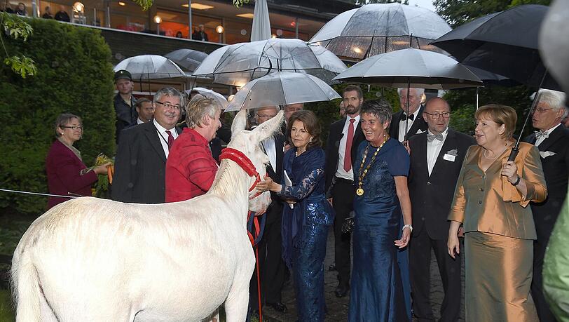 Königin Sylvia von Schweden und Brigitte Merk Erbe mit weißem Esel