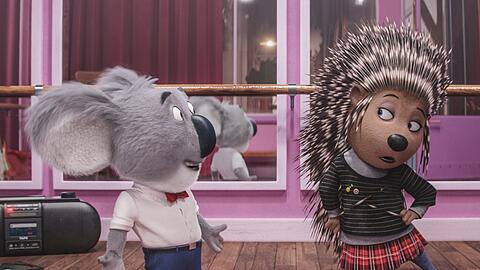 Stachelschwein Ash steht eigentlich eher auf die Sex Pistols, Koala Buster will ihr aber ein bisschen Katy Perry verordnen.