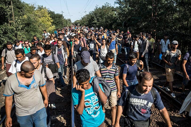 Rund 3000 Flüchtlinge sind an der Grenzstation in Österreich angekommen. Die Bilder von dem ungarischen Flüchtlingsstrom.