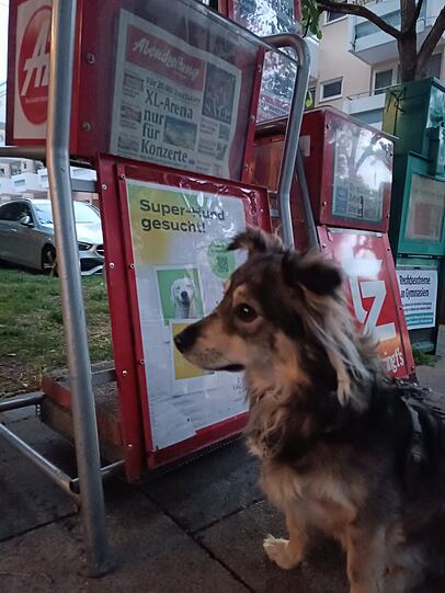 Pauli: Er ist supersüss!