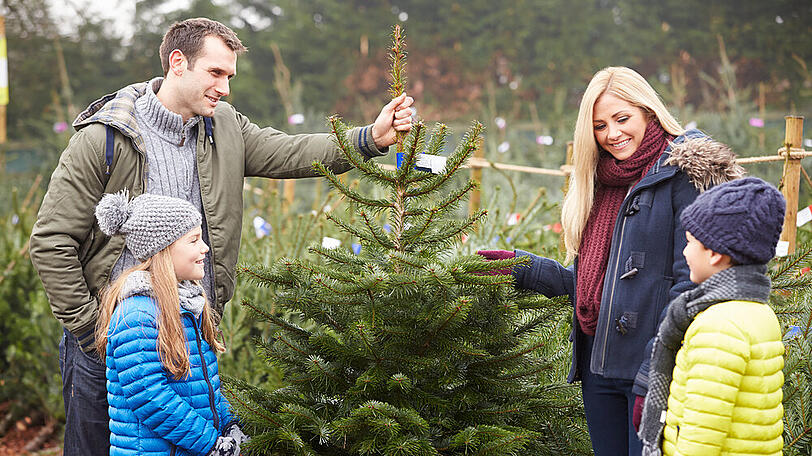 Ein festlich geschmückter Baum gehört für viele zu Weihnachten dazu