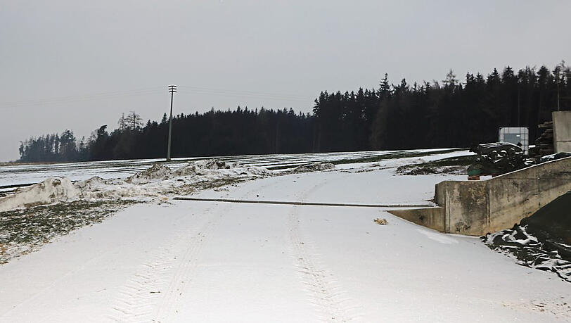 Eine braune Kuh wie die vom Bauernhof Wiedenbeck streift momentan durch diese Wälder rund um Oberhaarbach. Eine braune Kuh wie die vom Bauernhof Wiedenbeck streift momentan durch diese Wälder rund um Oberhaarbach.
