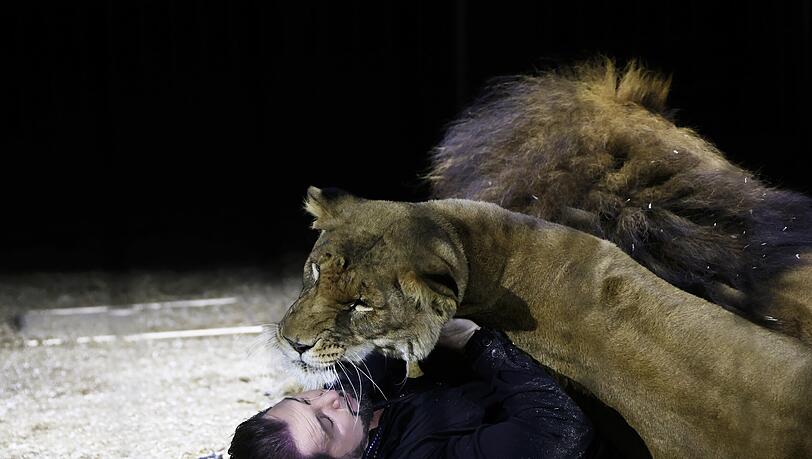 Vielfach pr&auml;mierter Raubtier-Champion: Wenn Zirkusdirektor Martin Lacey mit seinen L&ouml;wen schmust, zeigt sich die enge Vertrautheit, die auch heuer wieder das Publikum begeisterte.