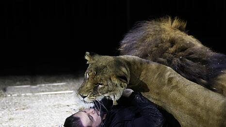 Vielfach pr&auml;mierter Raubtier-Champion: Wenn Zirkusdirektor Martin Lacey mit seinen L&ouml;wen schmust, zeigt sich die enge Vertrautheit, die auch heuer wieder das Publikum begeisterte.