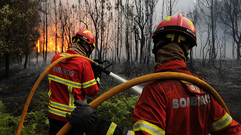 ...genauso wie in Portugal, wenn man in einen Waldbrand gerät.