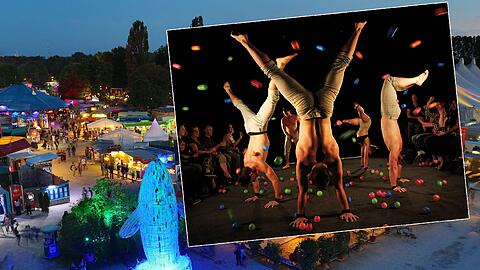 Bei der Aufführung der Gruppe &bdquo;Gravity & Other Myths" auf dem Tollwood könnten sich Besucher mit Masern infiziert haben.