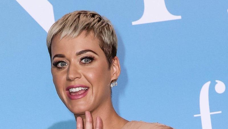 Katy Perry sowie fünf Mitarbeiter und die Plattenfirma sind zur Zahlung von knapp 2,8 Millionen Dollar (rund 2,5 Mio Euro) verurteilt worden. Katy Perry sowie fünf Mitarbeiter und die Plattenfirma sind zur Zahlung von knapp 2,8 Millionen Dollar (rund 2,5 Mio Euro) verurteilt worden.