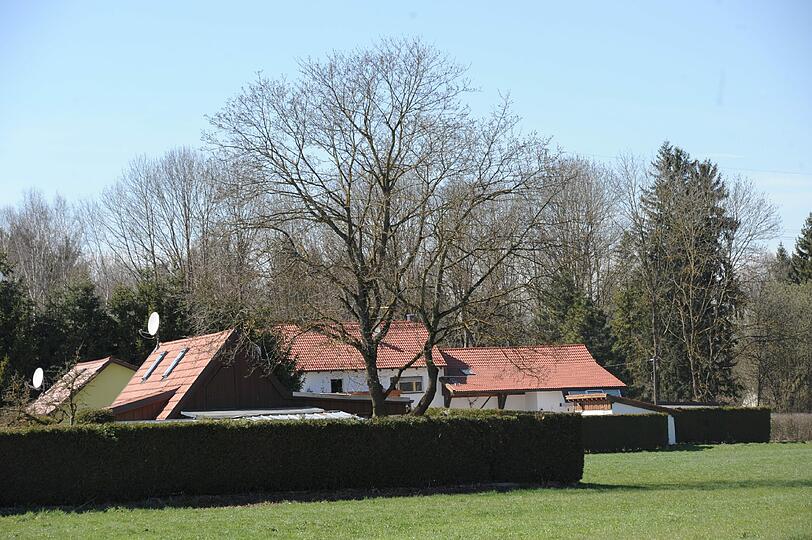 Großzügige Grundstücke mit großen Thujen-Hecken in Langwied.