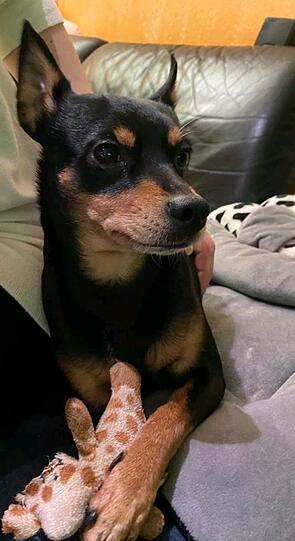 Rocky