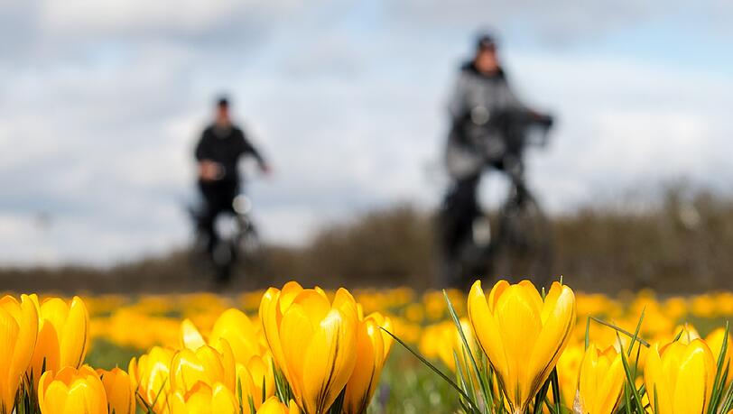 Noch ist das Wetter recht wechselhaft. Bald ist der Frühling jedoch nicht mehr aufzuhalten. Noch ist das Wetter recht wechselhaft. Bald ist der Frühling jedoch nicht mehr aufzuhalten.