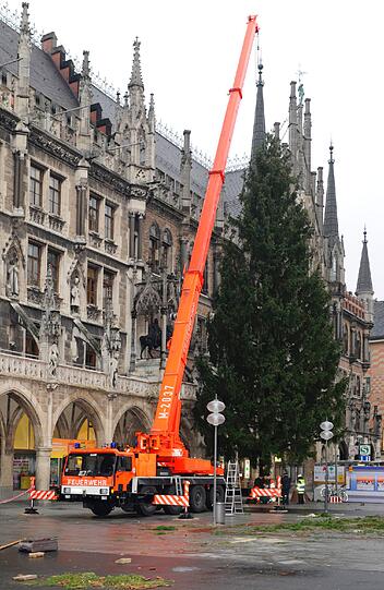 Am Marienplatz wurde am Montag der traditionelle Christbaum aufgestellt.