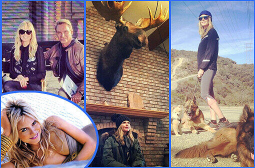 Das Fotoalbum der Heidi Klum - klicken Sie sich durch unsere Bildergalerie und sehen Sie die schönsten Bilder!
