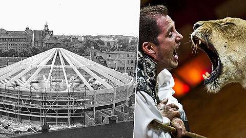 Der Circus Krone feiert 100-jähriges Jubiläum - AZ hat dafür tief im Archiv gekramt und alte Fotos herausgesucht. Klicken Sie sich durch unsere Fotogalerie.