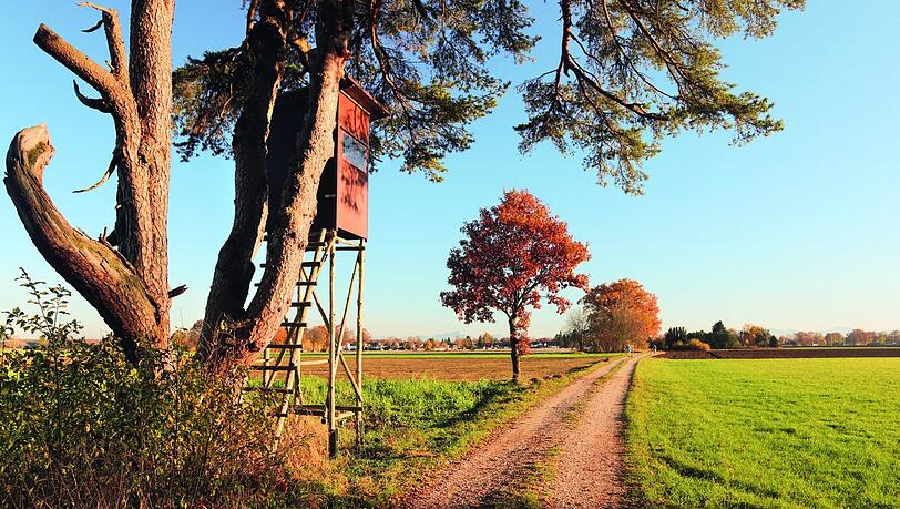 Wenn der Herbst langsam einzieht, ist es auf der Flur besonders schön!