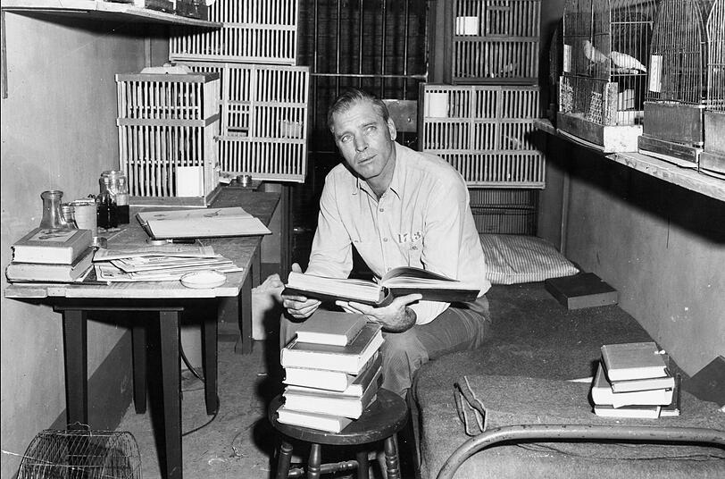 Robert Franklin Stroud (Burt Lancaster) wird im Gefängnis bald "Birdman" genannt: Er erforscht intensiv das Verhalten von Vögeln, was ihm zur neuen Lebensaufgabe wird. Robert Franklin Stroud (Burt Lancaster) wird im Gefängnis bald "Birdman" genannt: Er erforscht intensiv das Verhalten von Vögeln, was ihm zur neuen Lebensaufgabe wird.