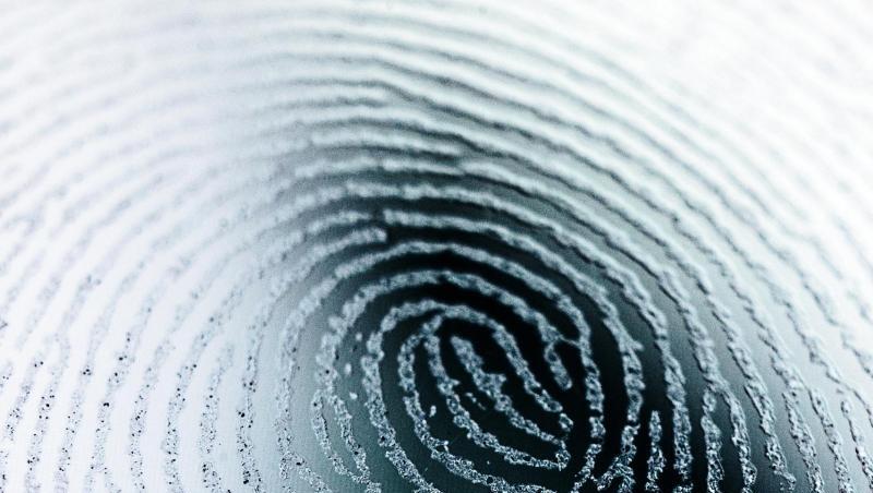 Der Fingerabdruck ist ein gängiger Schlüssel für biometrische Sicherungsverfahren. Der Fingerabdruck ist ein gängiger Schlüssel für biometrische Sicherungsverfahren.
