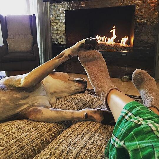 Nach der Trennung von Ryan Sweeting verbringt "The Big Bang Theory"-Star Kaley Cuoco Thanksgiving mit ihrem Hund auf der Couch.