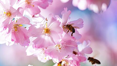 Der DWD erwartet f&uuml;r Samstag viel Sonnenschein f&uuml;r Bayern. (Symbolbild)
