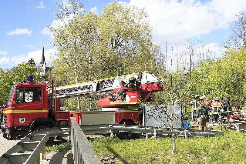 Die Shetland-Stute "Hastika" konnte von den Feuerwehrleuten gerettet werden.