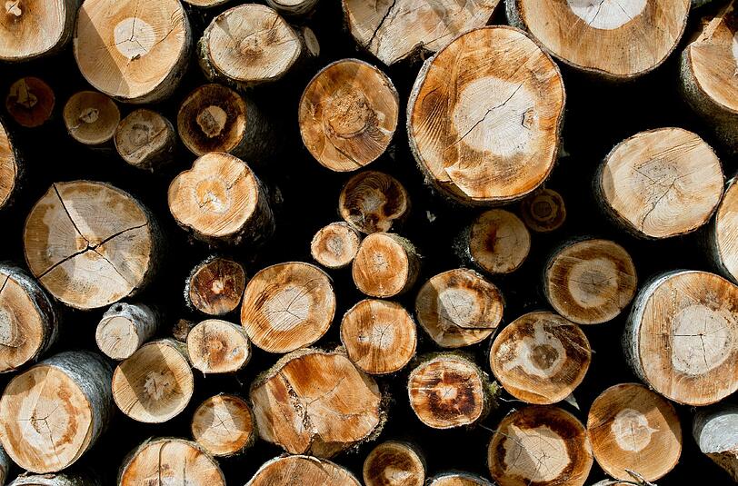 In Redwitz an der Rodach war ein Holzdieb unterwegs.