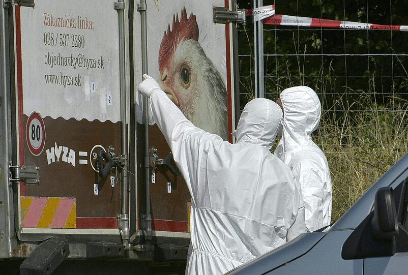 Grausiger Fund: In Österreich wurden mindestens 20 tote Flüchtlinge entdeckt. Die Bilder.