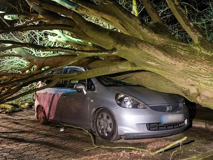 Ein umgestürzter Baum liegt auf einem Parkplatz auf einem Auto. Foto: Daniel Bockwoldt/dpa