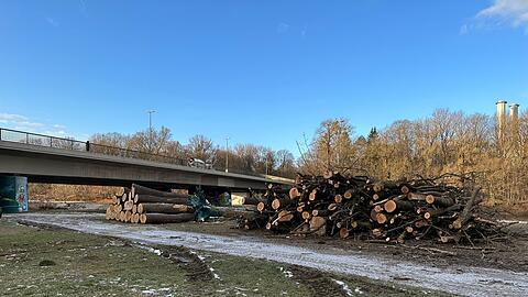 Gefällte Bäume an der Brudermühlbrücke.