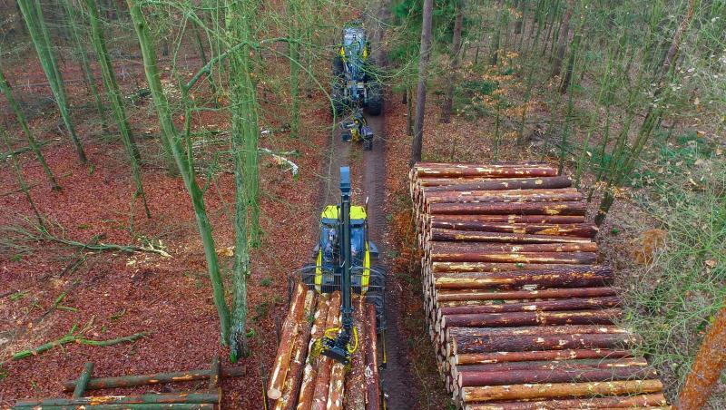 Im vergangenen Jahr wurden deutschlandweit 64,4 Millionen Festmeter Holz eingeschlagen. Im vergangenen Jahr wurden deutschlandweit 64,4 Millionen Festmeter Holz eingeschlagen.