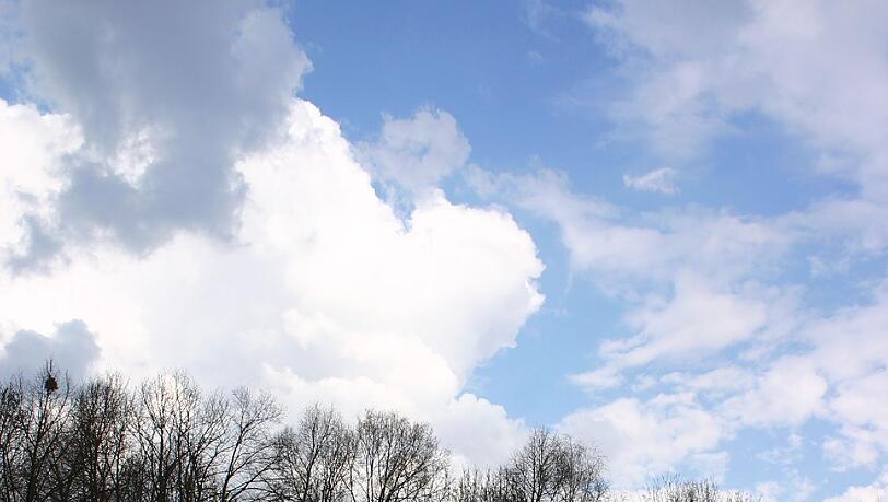 Hier schlängelt sich die blaue Kunst. Hier schlängelt sich die blaue Kunst.