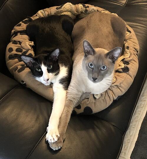 Ludwig und Lumpi