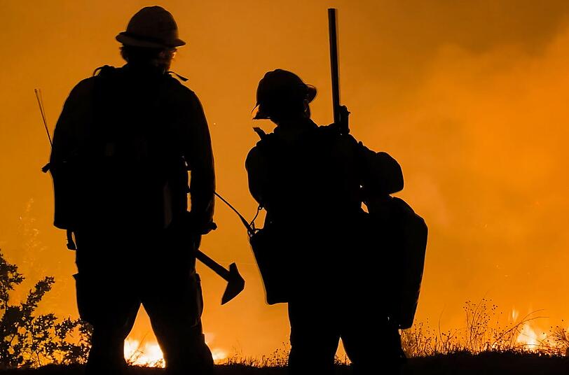 Steigende Temperaturen beg&uuml;nstigen Waldbr&auml;nde, durch die hunderte Tonnen CO2 in die Atmosph&auml;re gelangen - ein Teufelskreis.