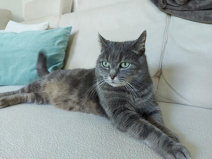 Rocky