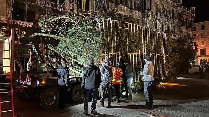 Nach 60 Kilometern Reise kam die Tanne vor dem Neuen Rathaus an.