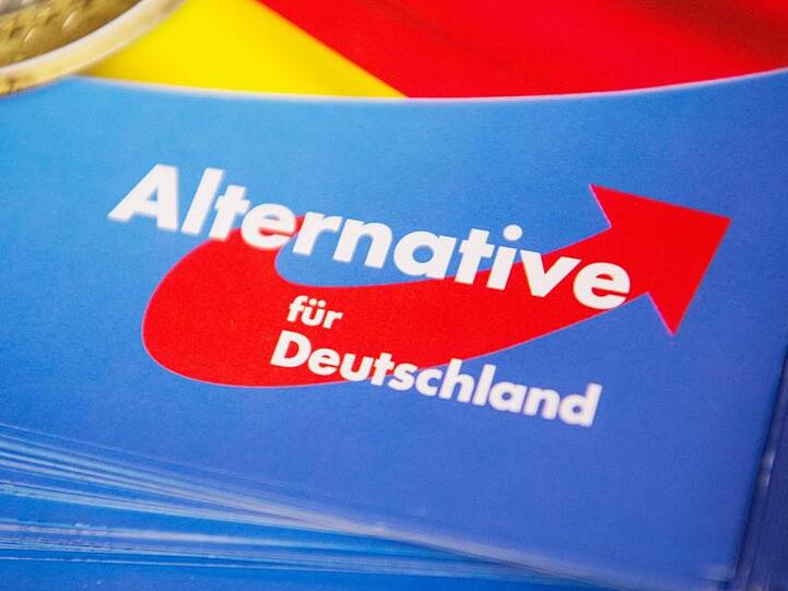 Haldenwang setzt sich für eine Beobachtung der AfD ein.