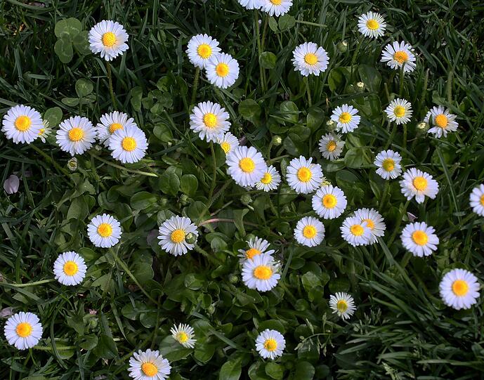 Die schönsten Impressionen vom Frühlingswochenende in München.