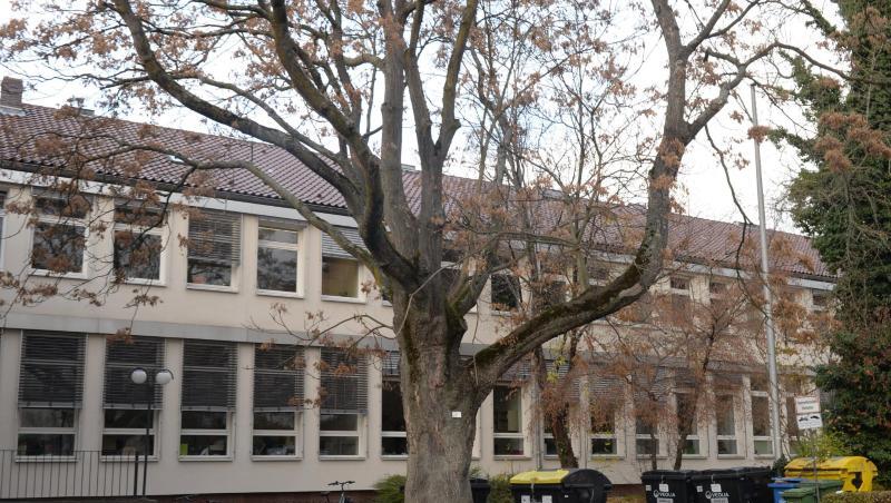 In der Nähe des Alten Botanischen Gartens in Göttingen ist ein 28-Jähriger Opfer eines Gewaltverbrechens geworden. In der Nähe des Alten Botanischen Gartens in Göttingen ist ein 28-Jähriger Opfer eines Gewaltverbrechens geworden.