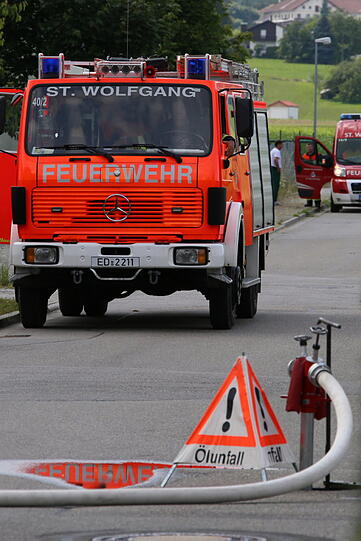 Bei einem Schreinereibetrieb geriet ein Holzspänesilo in Brand. Die Feuerwahr war mit Löschfahrzeugen vor Ort.