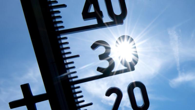 Trotz mehrerer Hitzerekorde ist der Juli in Sachen Temperatur kein außergewöhnlich heißer Monat gewesen. Trotz mehrerer Hitzerekorde ist der Juli in Sachen Temperatur kein außergewöhnlich heißer Monat gewesen.