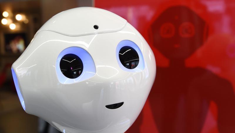 Der Roboter "Luna Pepper". Foto: Carmen Jaspersen/Archiv Der Roboter "Luna Pepper". Foto: Carmen Jaspersen/Archiv