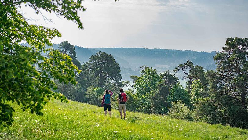 Entdecken Sie beim wandern durch den Naturpark Altmühltal ein unglaubliches Panorama. Entdecken Sie beim wandern durch den Naturpark Altmühltal ein unglaubliches Panorama.