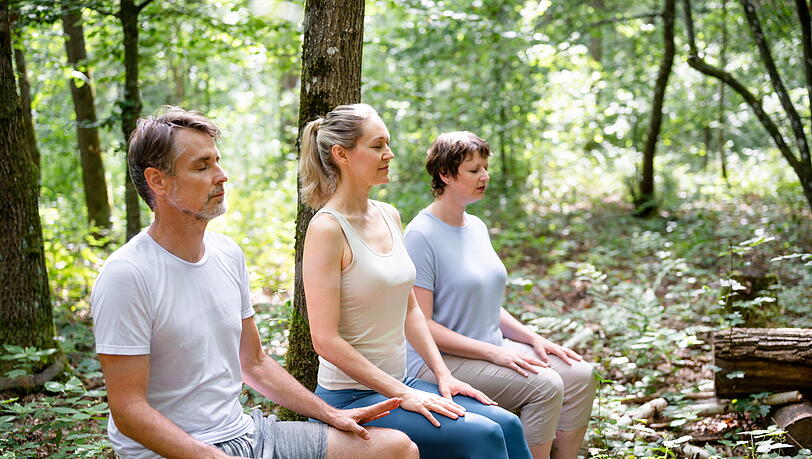 Tun Sie etwas für Körper und Geist und entspannen Sie bei einer "Wald-Meditation". Tun Sie etwas für Körper und Geist und entspannen Sie bei einer "Wald-Meditation".