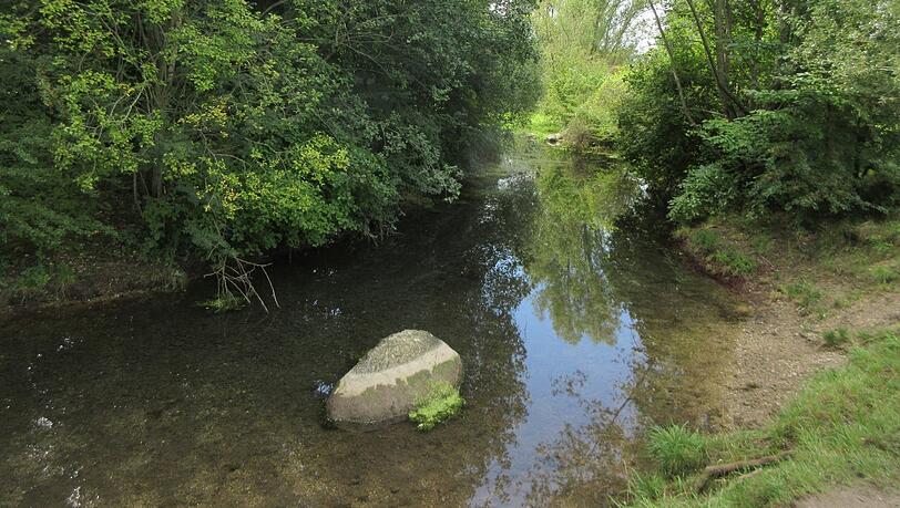Wunderschön wild schaut der Hüllgraben hier aus. Wunderschön wild schaut der Hüllgraben hier aus.