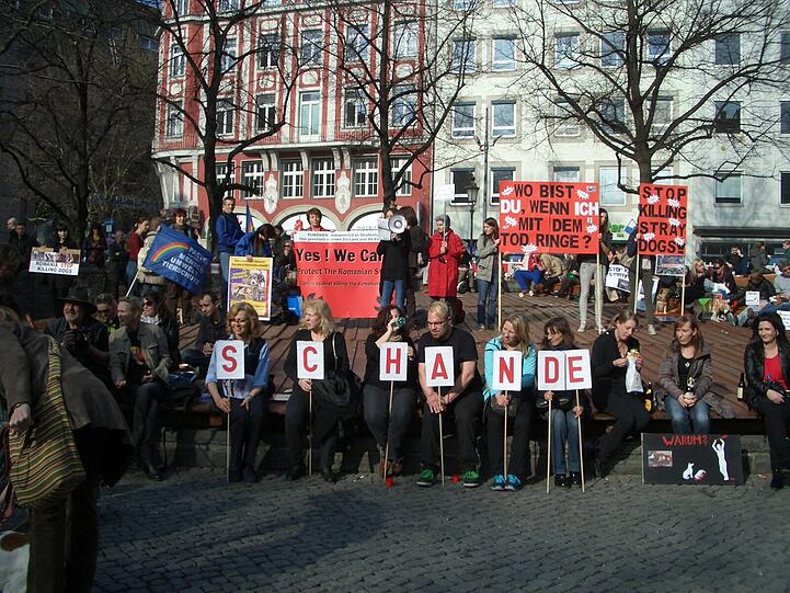 Um die 150 Tierfreunde waren am Rindermarkt, um mit Plakaten, Flyern, Bannern und Gesprächen über die Streunerproblematik und die grausamen Tötungen der Hunde in Rumänien aufzuklären.